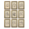 Frontgate Set Of 4 New York Botanical Garden Merian Botanicals