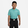 Nike Dri-fit Victory Big Kids' (boys') Golf Polo In Green