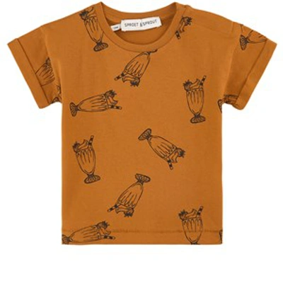 Sproet And Sprout Brown T-shirt In Orange