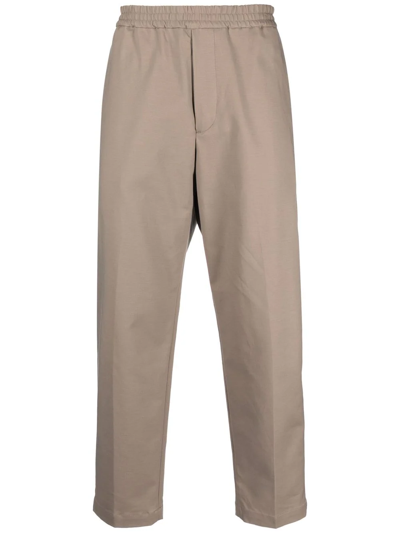 Emporio Armani High-waisted Tapered Trousers In Braun