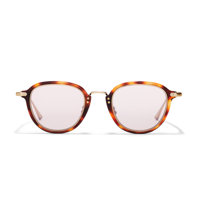 Taylor Morris Eyewear Artesian Sunglasses In Brown