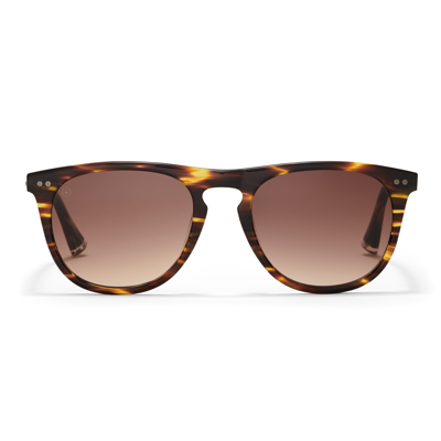 Taylor Morris Eyewear Bassett Sunglasses