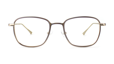 Taylor Morris Eyewear Sw7 C3 Glasses In Metallic