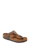 Birkenstock Gizeh Birko-flor Flip Flop In Brown