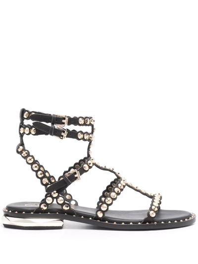 ASH PENNY STUD-EMBELLISHMENT SANDALS