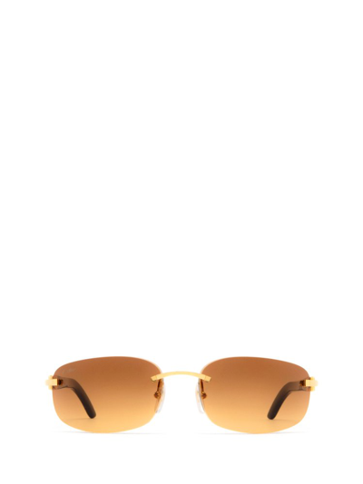 Cartier Ct0020rs Gold Male Sunglasses In Multi