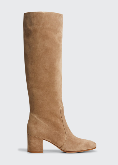 Gianvito Rossi Suede Block-heel Knee Boots In Beige