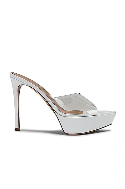 Gianvito Rossi 115毫米betty Plexi凉鞋 In White