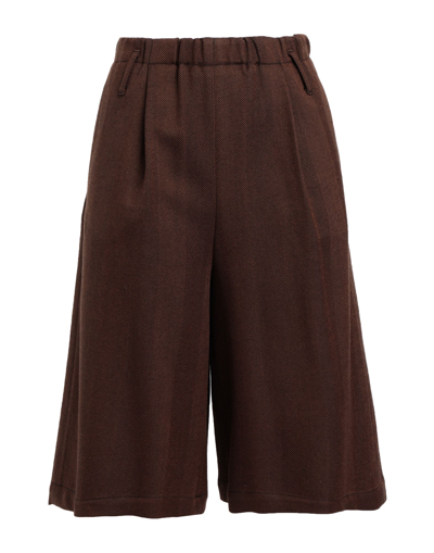 Alysi Woman Shorts & Bermuda Shorts Brown Size 4 Virgin Wool, Acrylic