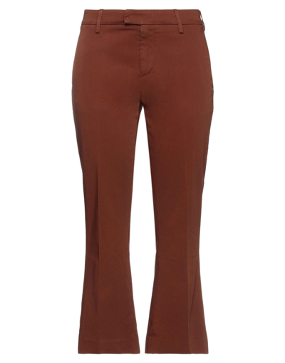 Dondup Pants In Brown