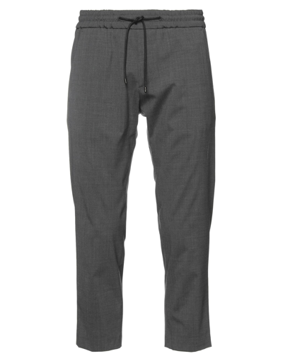 Michael Coal Pants In Grey