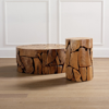 FRONTGATE ROOT COFFEE TABLE