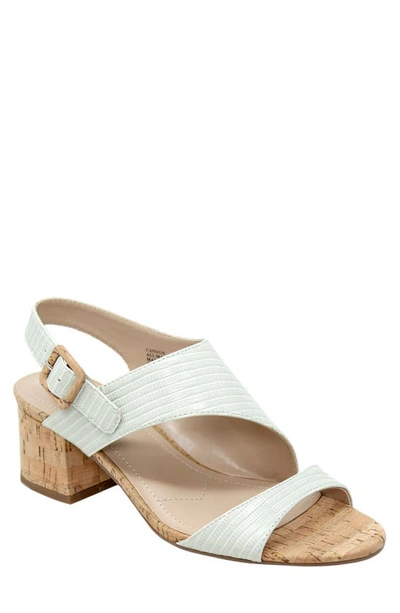 Charles By Charles David Cannon Sandal In Aloe