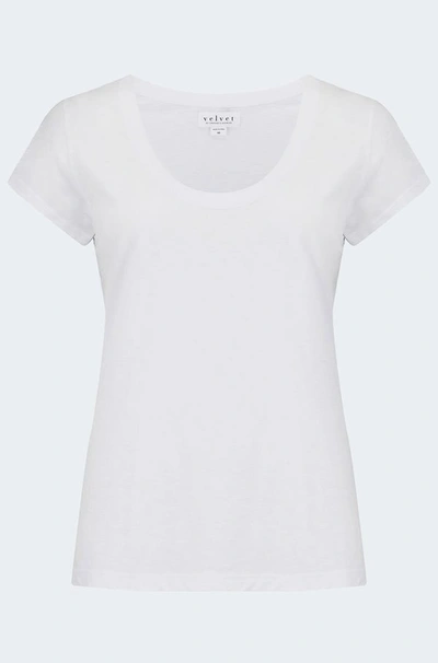 Velvet By Graham & Spencer Katie Scoop Neck Tee In White