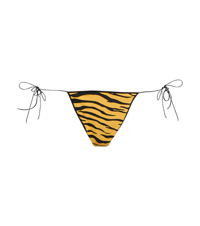 Tropic Of C The C Zebra-print Bikini Bottoms In Zebra Sunshine