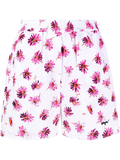 Msgm Floral-print Cotton Shorts In White