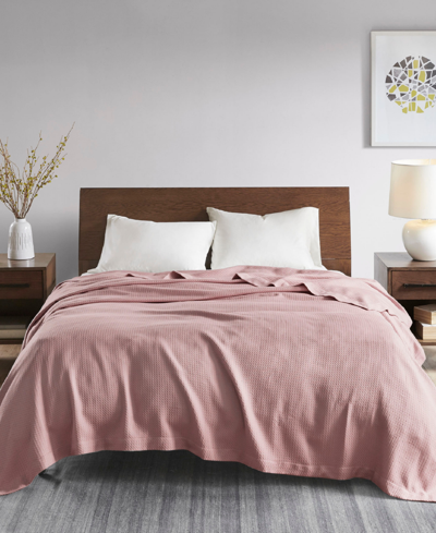 Madison Park Egyptian Cotton Blanket, Full/queen In Rose