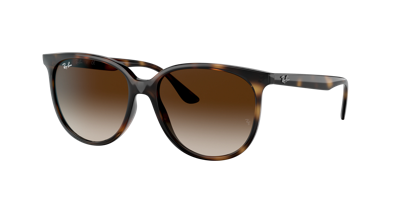 Ray Ban Rb4378 Sunglasses Havana Frame Brown Lenses 54-16 In Braun Verlaufstönung