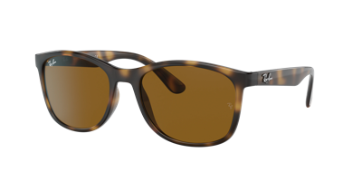 Ray Ban Ray In Havana