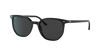 Ray Ban Ray In Polar Schwarz