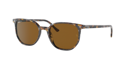 Ray Ban Ray In Brown Polar
