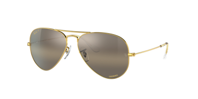 Ray Ban Ray In Polar Clear Gradient Dark Brown