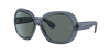 Ray Ban Ray In Dunkelgrau Polar