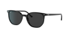 Ray Ban Ray In Polar Black