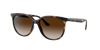 Ray Ban Ray In Gradient Brown