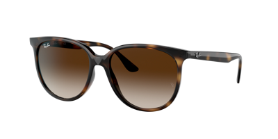 Ray Ban Ray In Gradient Brown