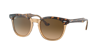 Ray Ban Ray In Brown Gradient Polar