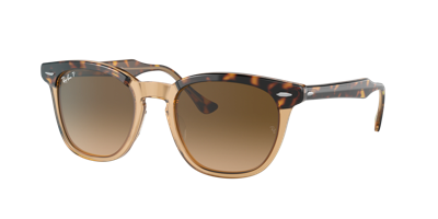 Ray Ban Ray In Brown Gradient Polar