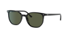 Ray Ban Ray In Green