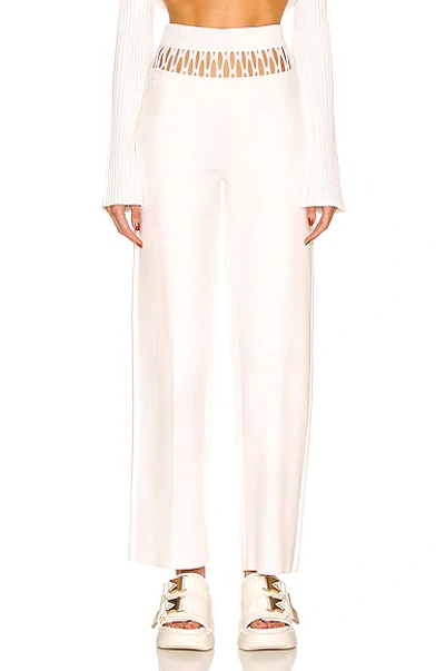 Dion Lee Net-panel Suspend Trousers In White