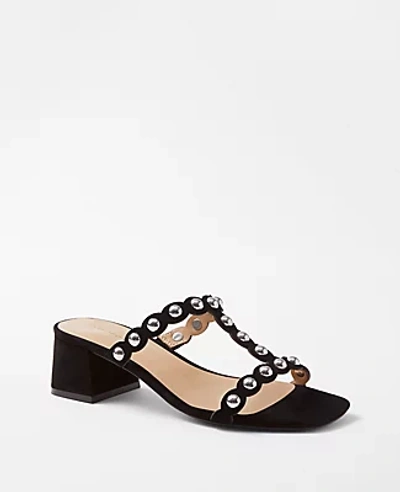 Ann Taylor Studded Suede Block Heel Sandals In Black