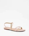 Ann Taylor Leather Strappy Flat Sandals In Pearl Shadow