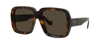 Loewe Oversized Tortoiseshell Square Sunglasses In Brown