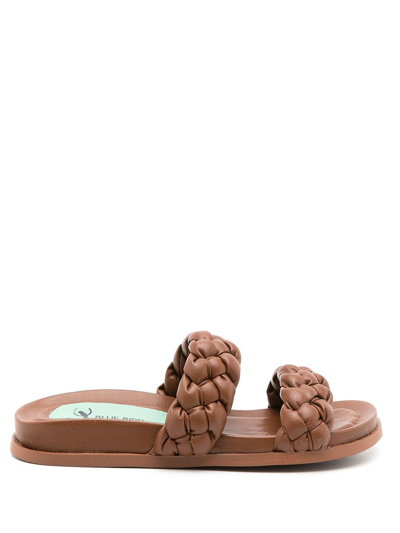 Blue Bird Shoes Woven-strap Sandals In Brown