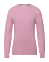 Scaglione Sweaters In Pink