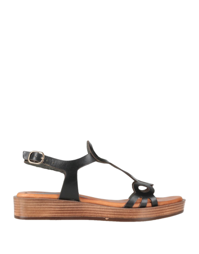 Sofia Mare Sandals In Black | ModeSens