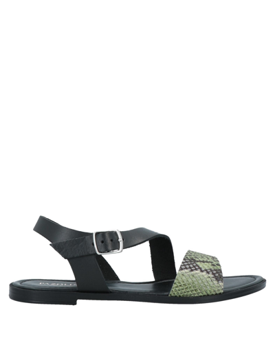 Carlo Pazolini Sandals In Green