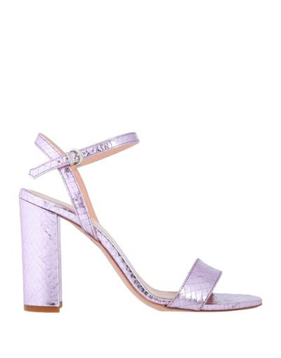 Paolo Mattei Sandals In Lilac