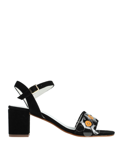 Carlo Pazolini Sandals In Black