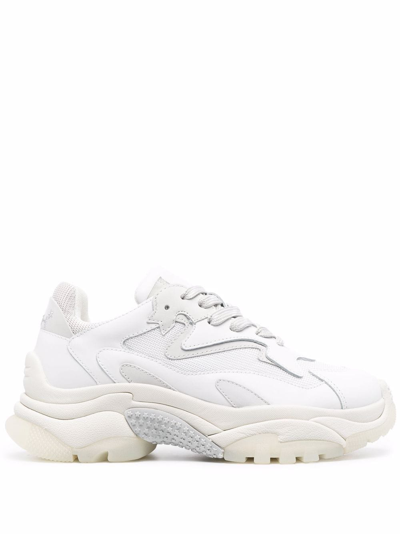 Ash Addict Chunky Low-top Sneakers In White