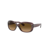 Ray Ban Jackie Ohh Transparent Sunglasses Transparent Dark Brown Frame Brown Lenses Polarized 58-17 In Transparent Brown