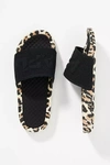 Apl Athletic Propulsion Labs Apl Logo Techloom Slide Sandals In Assorted