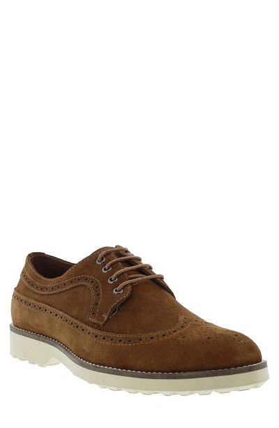 Zanzara Men's Suede Wingtip Brogues In Cognac