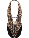Dolce & Gabbana Leopard-print Belted One-piece Swimsuit In Brown