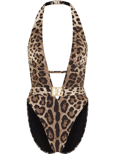 Dolce & Gabbana Leopard-print Halterneck Swimsuit In Brown