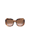 PRADA PRADA PR 16YS HAVANA FEMALE SUNGLASSES